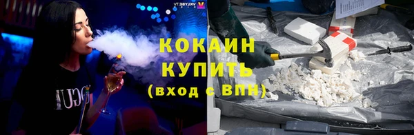 ешки Алексин