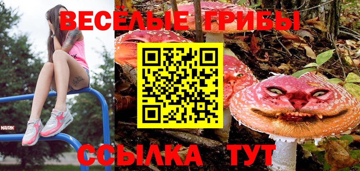 Экстази  Вход с VPN  МЕФ   МЕФ  Кокаин  ГАШ  Брянск  Бошки Шишки 