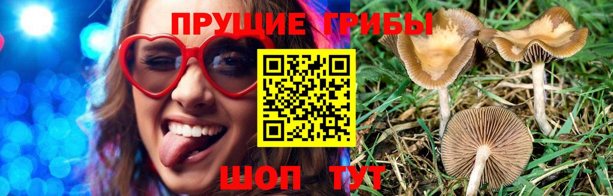 Галлюциногенные грибы мухоморы  Вход с VPN  Брянск 